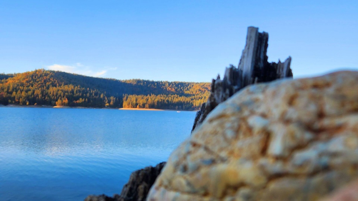 Nevada City House | Cascade Caravan in the Sierra Foothills and within minutes of Scott's Flat Lake.