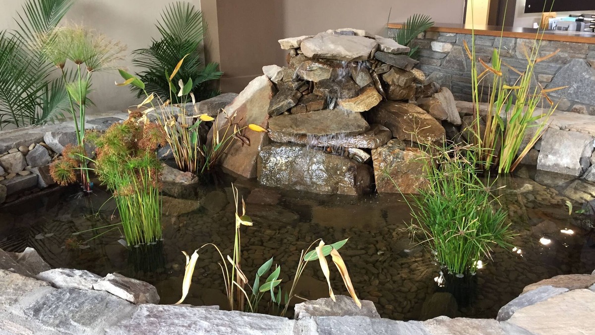 Hendersonville Hotel | Cascades Mountain Resort, Ascend Hotel Collection