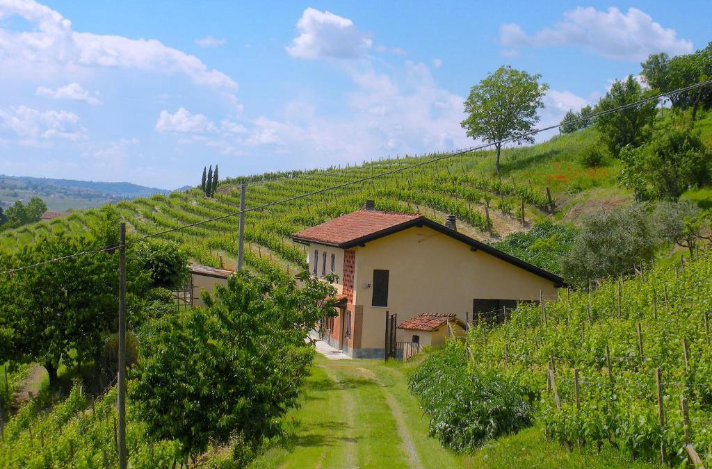 Nizza Monferrato House | Cascina tra i vigneti a Nizza Monferrato