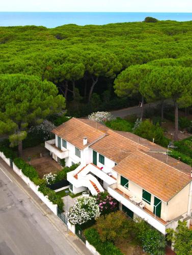 Mazzanta Apartment | Case Sobrini