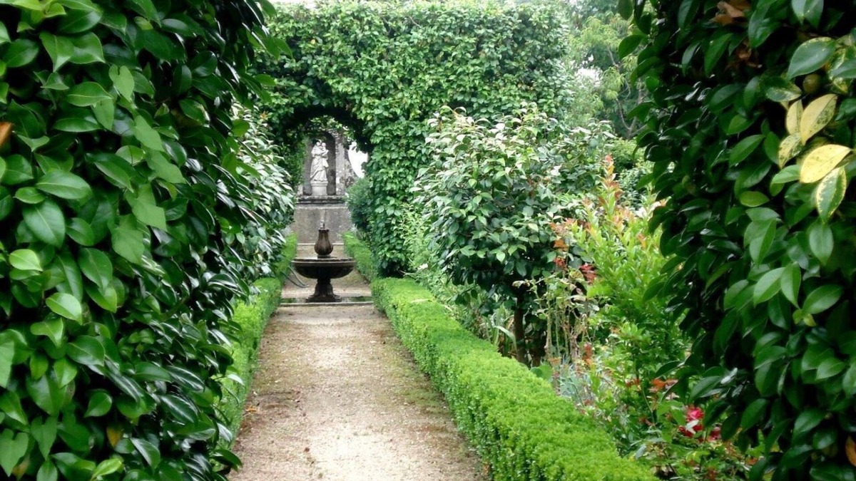 Fareja Cottage | CASINHA T1 IN QUINTA, 10 KM OF GUIMARAES, WITH POOL AND GARDEN