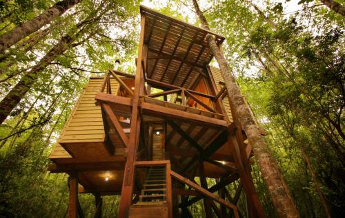 Futrono House | Casita Arbol