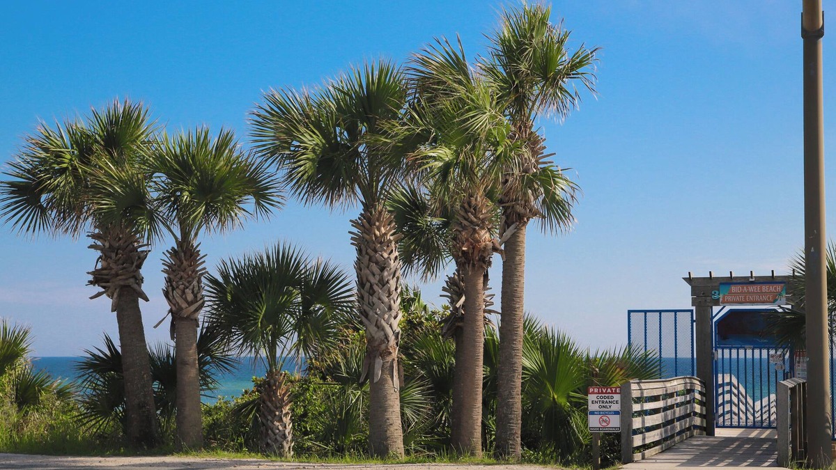 Bid-a-wee Beach Cottage | Casita By The Sea
