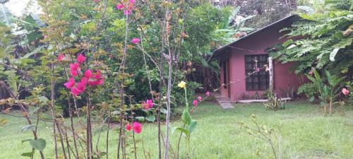 Drake Bay Apartment | Casita Colibri Playa Rincon Bahia Drake