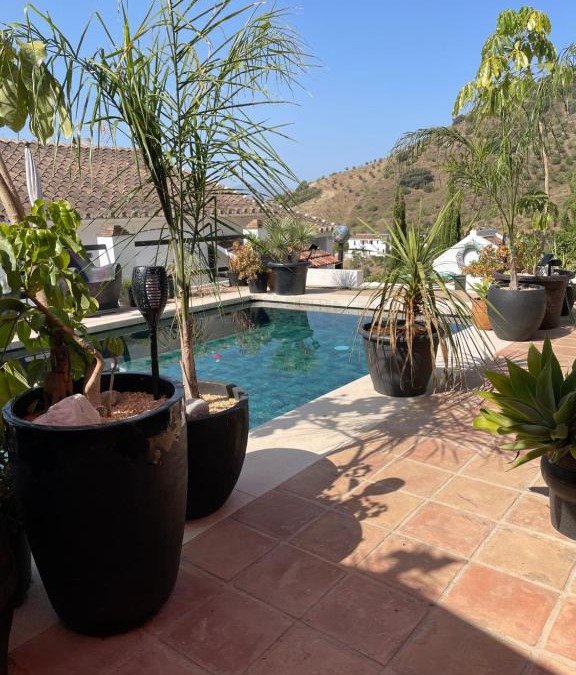 Cartama Apartment | CASITA OASIS
