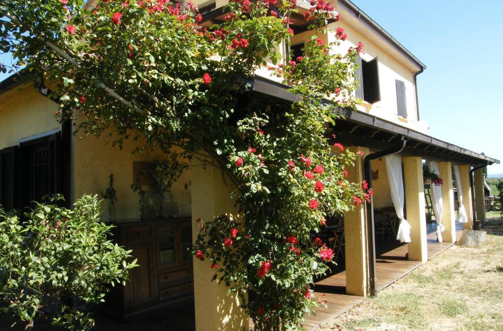 Piombino Bed & Breakfast | Casolare Casa Ricci