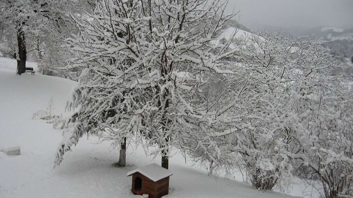 Cagli House | Casolare Festivity - New Year 20-25 people in the Marche region in Acqualagna
