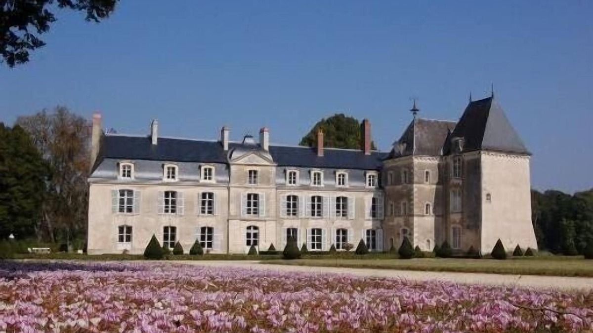 Lasse Other | Castle in the Loire Valley in a 30 ha historical park with heated pool