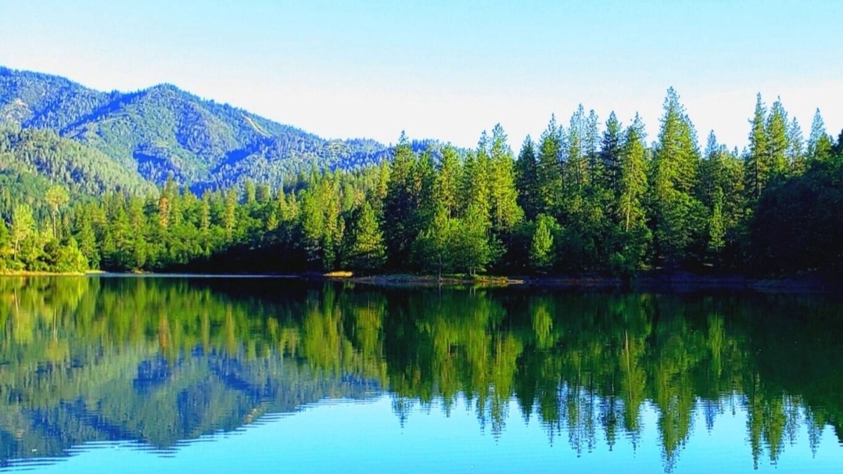 Lakehead-Lakeshore House | 'Castle of Lake Shasta' - Direct Lake Elegance