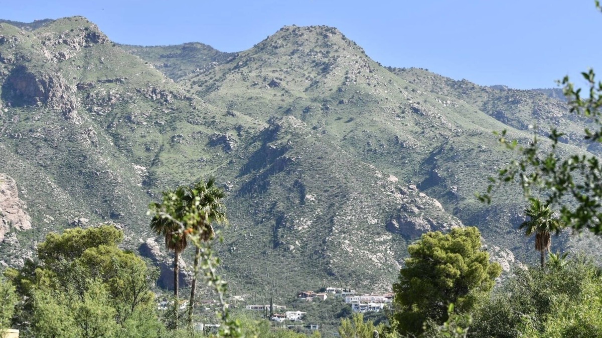 Skyline Bel Air Estates Condo | Catalina Foothills Oasis