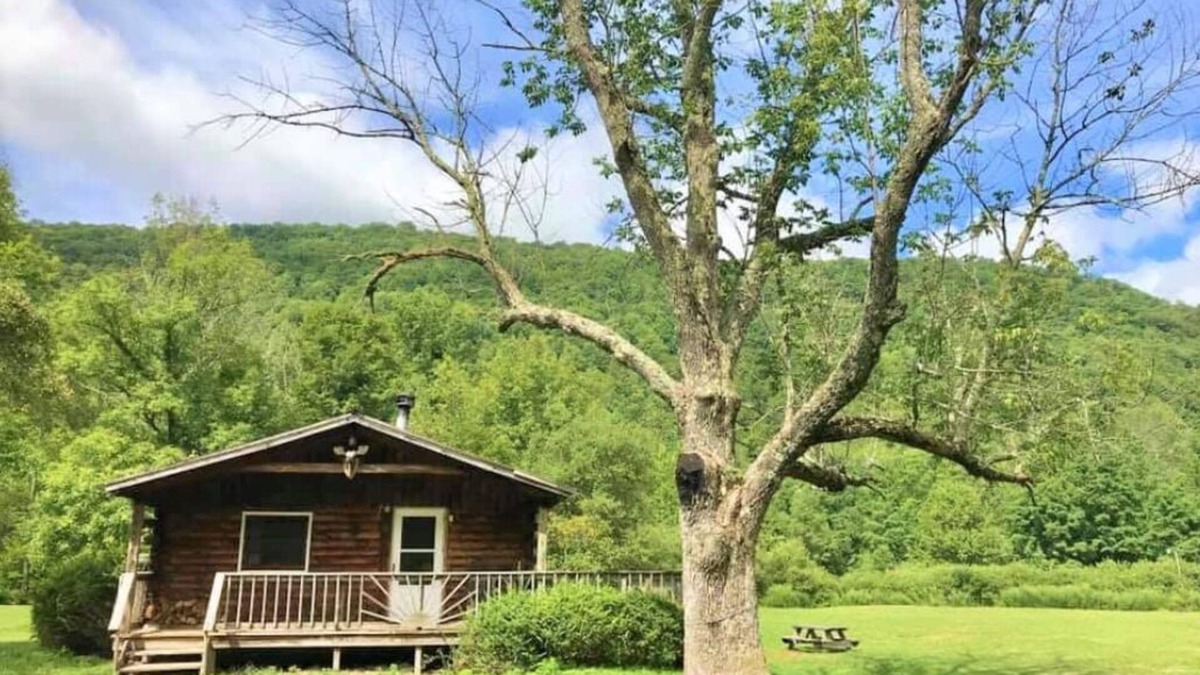 Oliverea Cabin | Catskill Cabin with Fireplace 2 br