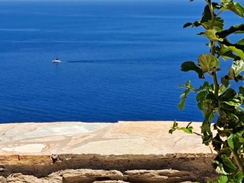 Andros Town Apartment | Cavo Levante