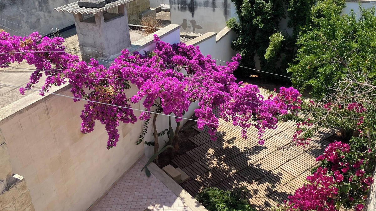 Lizzanello Apartment | Celi Blu - One Bedroom Apartment, Sleeps 3