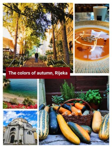 Rijeka House | Center Rooms with terrace