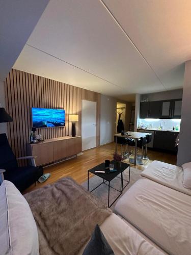 Stavanger Apartment | Central Apartment perfect for people visiting Stavanger!
