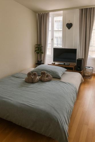 Fribourg Apartment | Central & cosy next to cathedral