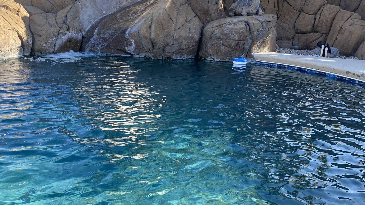 Lake Havasu City House | Central Lake Havasu home - pool and water slide!