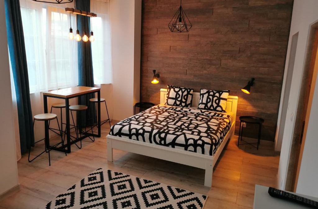 Petrosani Apartment | Central Park Studio Petrosani