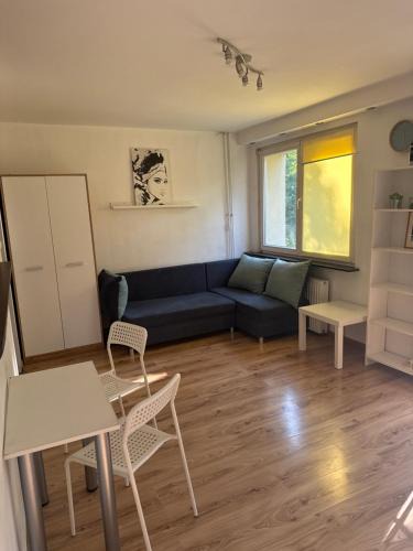 Boleslawiec Apartment | Central Studio Bolesławiec