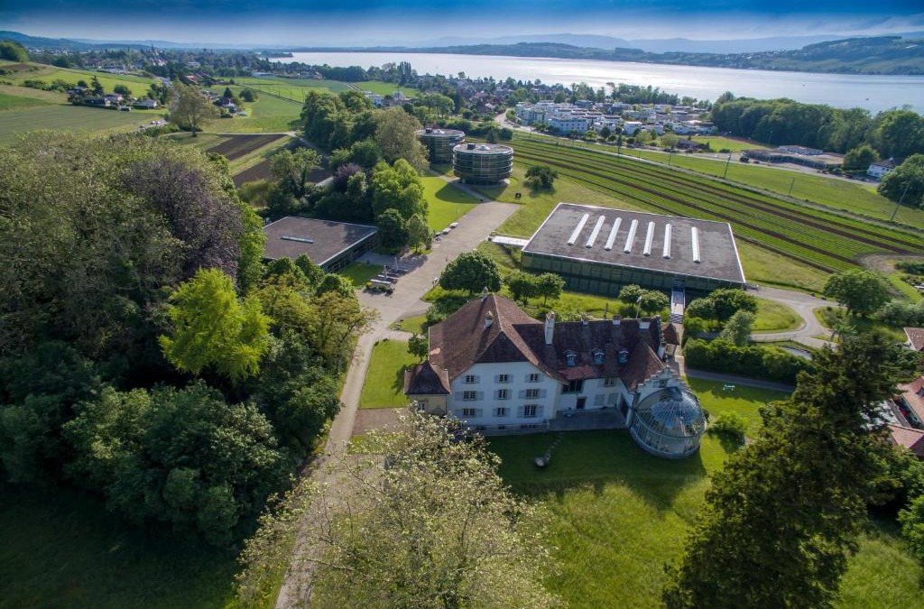 Murten Hotel | Centre Loewenberg