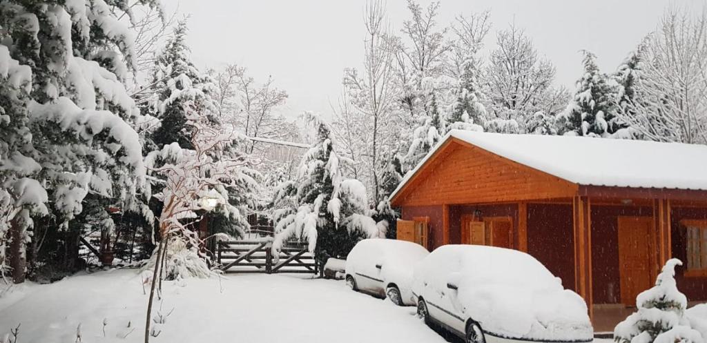 Potrerillos Ski Chalet | Cerro Indio