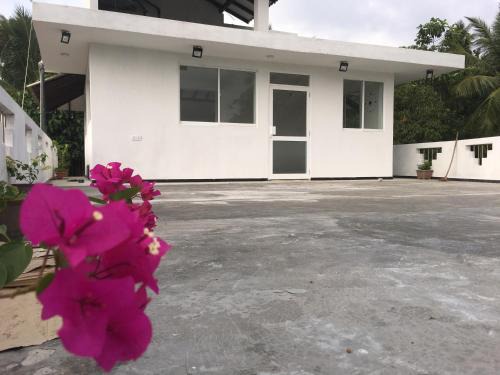 Hikkaduwa Villa | Ceylon Ramble Villa