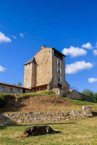 Montegut Bed & Breakfast | Château Montegut Rustique