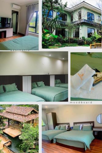 Moc Chau Bed & Breakfast | Châu homestay - Mộc Châu , Sơn La