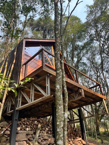 Garibaldi Ski Chalet | Chalé Araucária