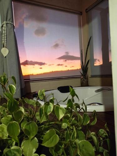 Serra do Cipo Apartment | Chalé Jenipapo