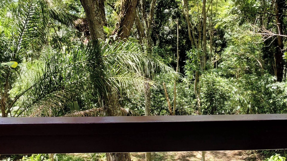 Florianopolis Ski Chalet | Chalé Nature na Lagoa da Conceição RM9376