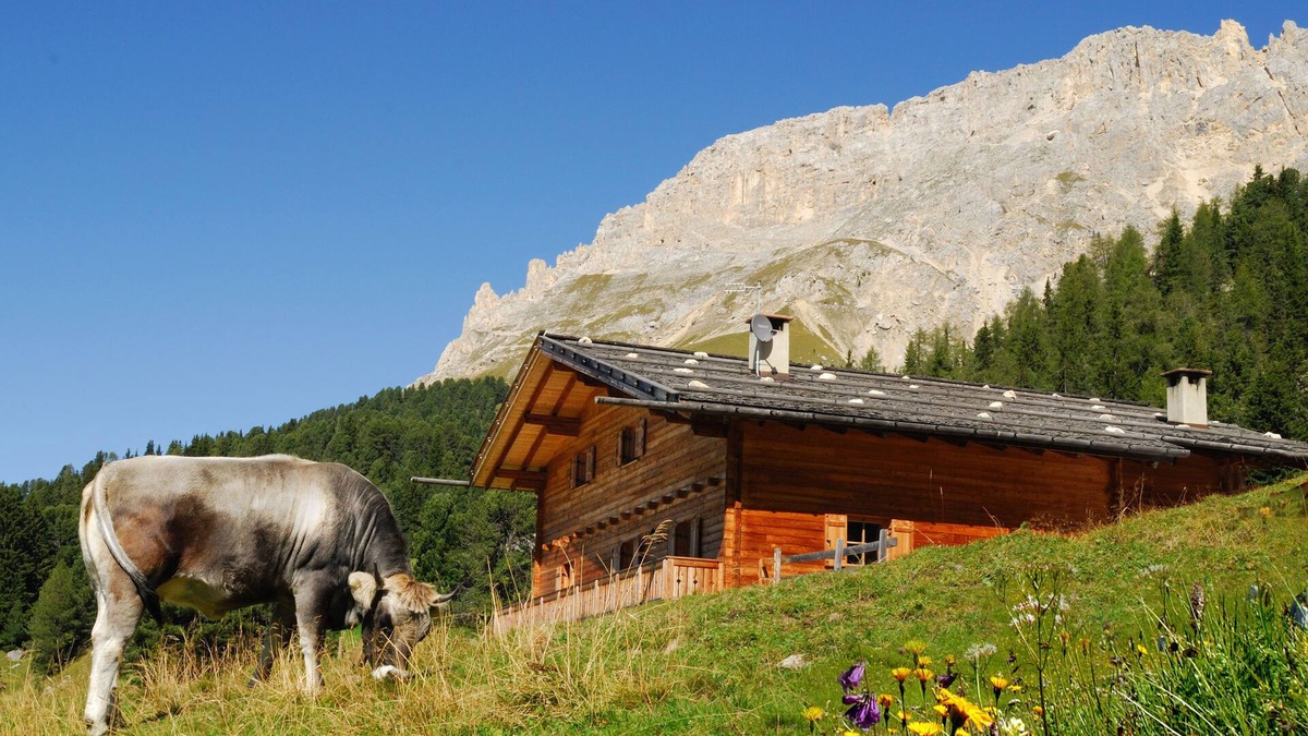 Obereggen Ski Chalet | Chalet, alpine hut, ski hut in the middle of the ski area, vacation apartment