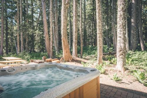 Government Camp House | Chalet am Berg - Meredith Lodging