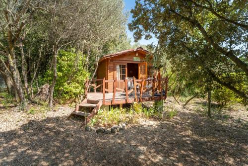 Saint-Pierre-de-Vassols House | Chalet atypique