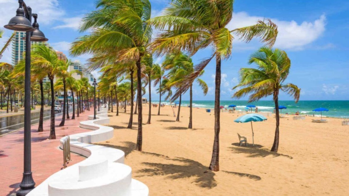 Colee Hammock Apartment | Chalet at Victoria Park Downtown Fort Lauderdale-One Bedroom Apartment 7
