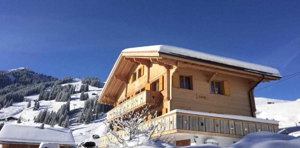 Adelboden Apartment | Chalet Butterfly