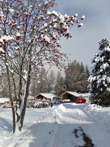 Saint-Leger-les-Melezes Ski Chalet | Chalet calme