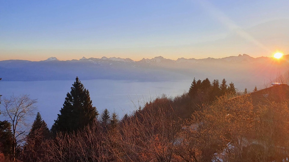 Thollon-les-Memises Ski Chalet | Chalet Chalon