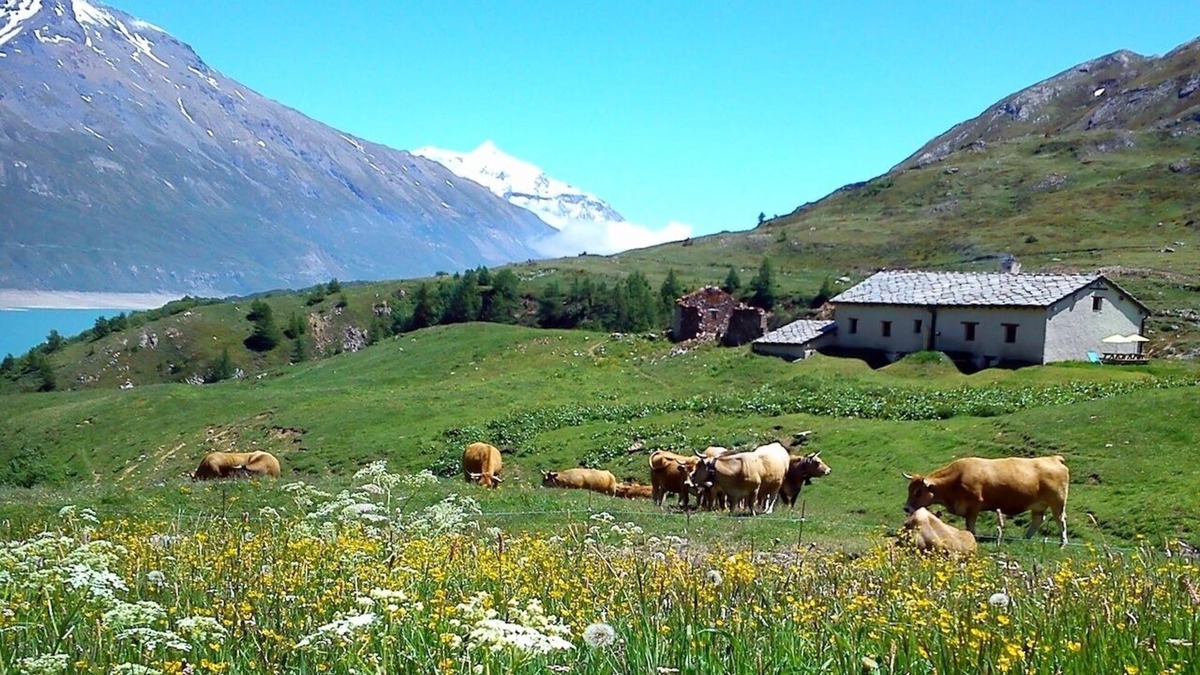 Lanslebourg-Mont-Cenis Ski Chalet | Chalet D'alpage à 2000 Mètres D'altitude L'été au lac du Mont-cenis en Savoie