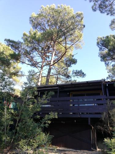 Maubuisson Ski Chalet | Chalet dans les pins