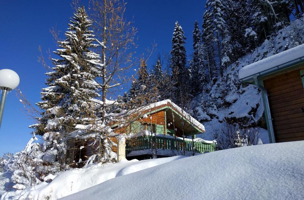 Premanon Ski Chalet | Chalet Daria