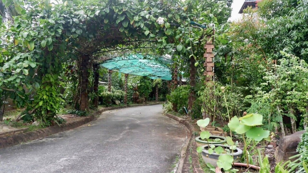 Hat Yai Hotel | Chalet De Palm Resort Hatyai