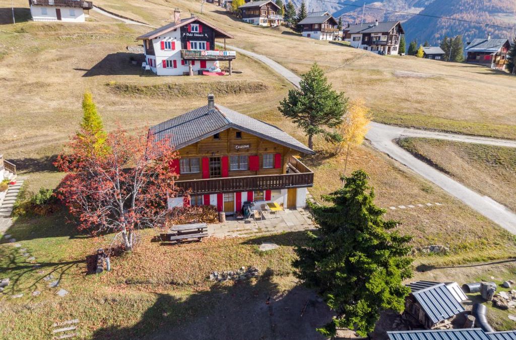 Rosswald Apartment | Chalet Elisabeth
