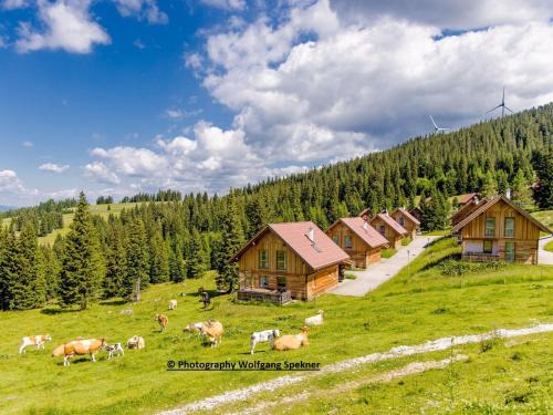Frantschach-Sankt Gertraud House | Chalet in Alps with Private Sauna