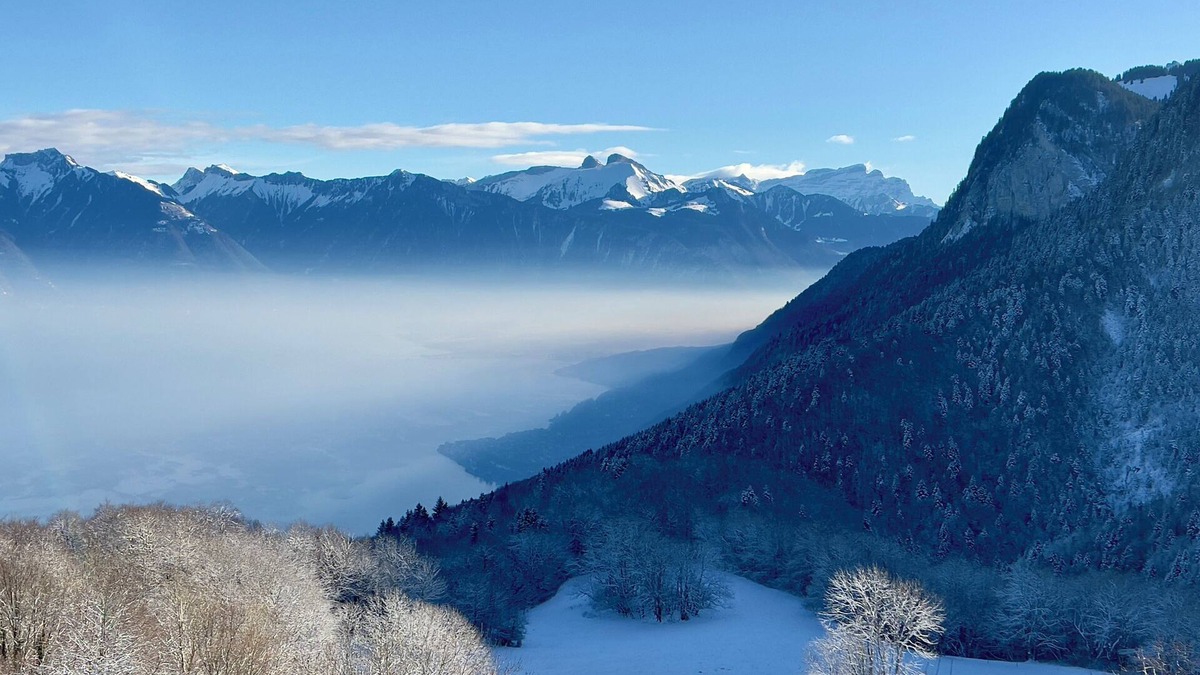 Thollon-les-Memises Ski Chalet | Chalet in the mountains with a view of Lake Geneva