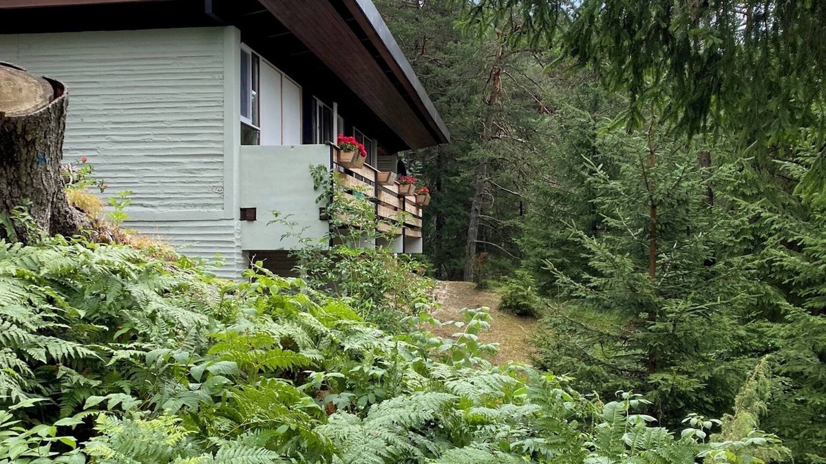 Borca di Cadore Ski Chalet | Chalet in the enchanted forest