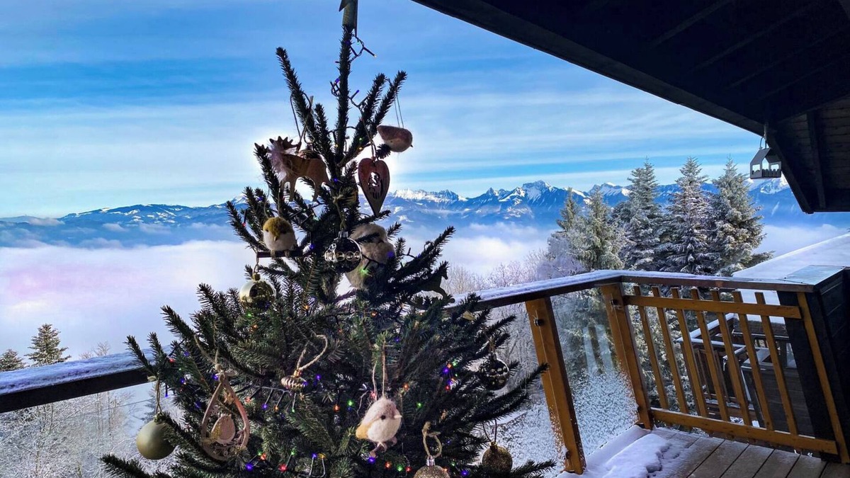 Thollon-les-Memises Ski Chalet | Chalet 'Insolite, Vue Exceptionnelle' with Lake View, Shared Pool and Wi-Fi