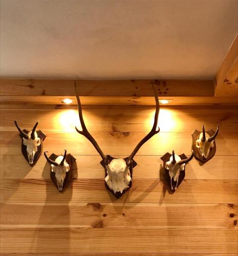 Albosaggia Ski Chalet | Chalet Monaci alla Fontana "Junior suite"