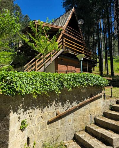 Pedace Ski Chalet | Chalet Natura la tana del ghiro