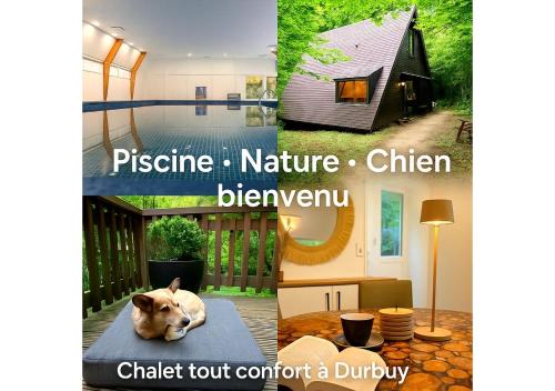 Bohon Ski Chalet | Chalet Séquoia 138 Nature, piscine et chien bienvenu à Durbuy